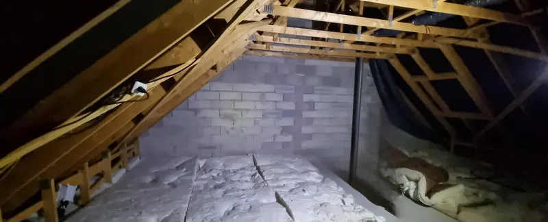 Les combles avant travaux (Aménagement de combles, Sartrouville)