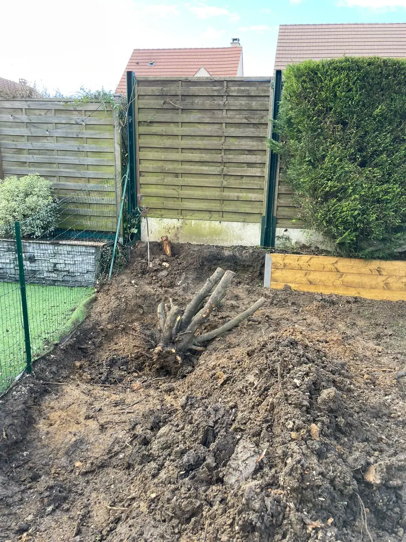 Le fond du jardin avant travaux (Mur de clôture et terrasse, Saint-Brice-sous-Forêt)