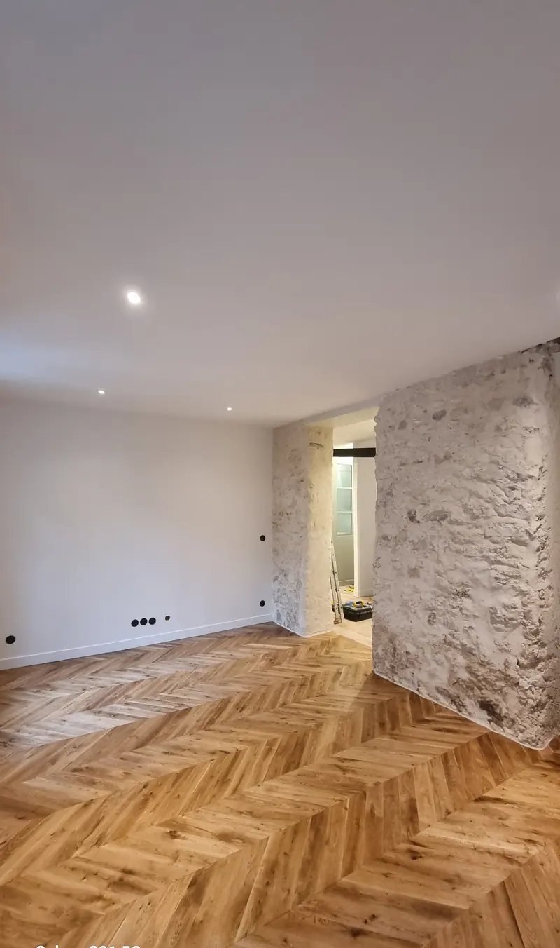 Le mur en pierre mis à nu (Rénovation complète d’un appartement, Paris)