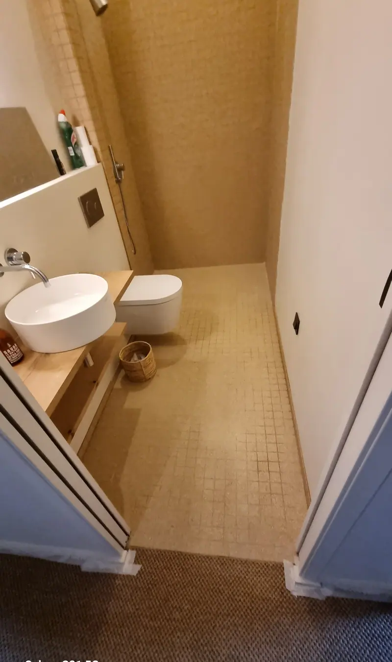 Vasque à poser et WC suspendu (Rénovation d’une maison en pierre, Perche)