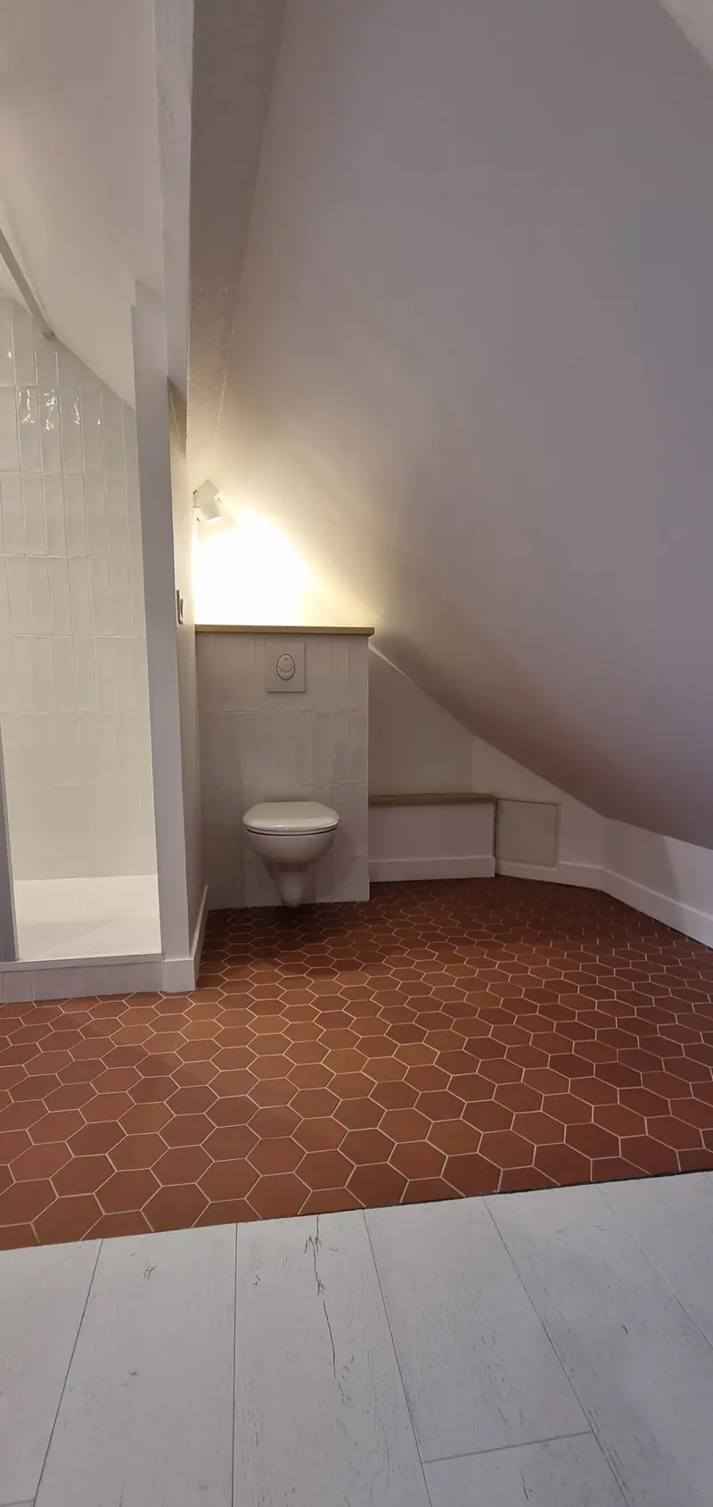 Le WC sous la pente (Suite parentale, Villiers-Adam)